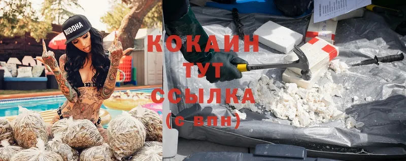 Cocaine 98% Власиха