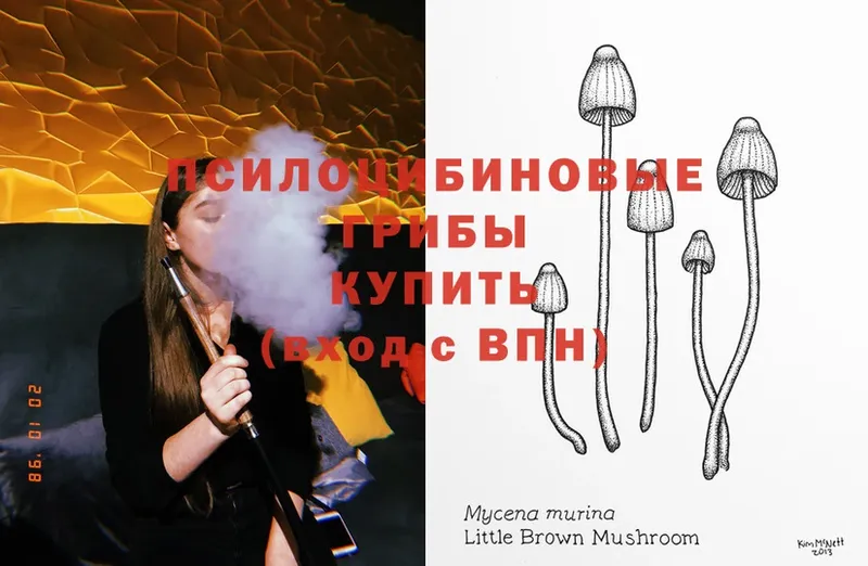 Галлюциногенные грибы MAGIC MUSHROOMS  Власиха 